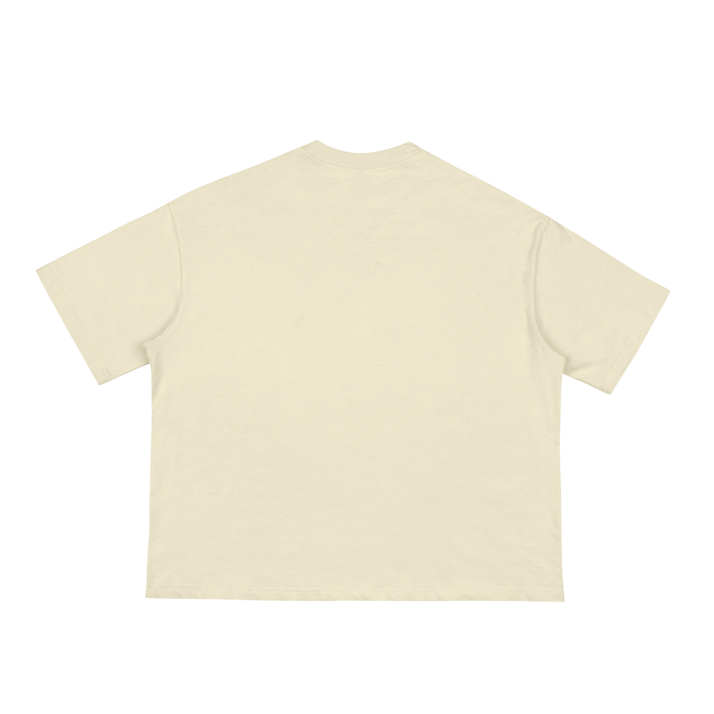 Classic Loose Boxy Tee SFK FRONT