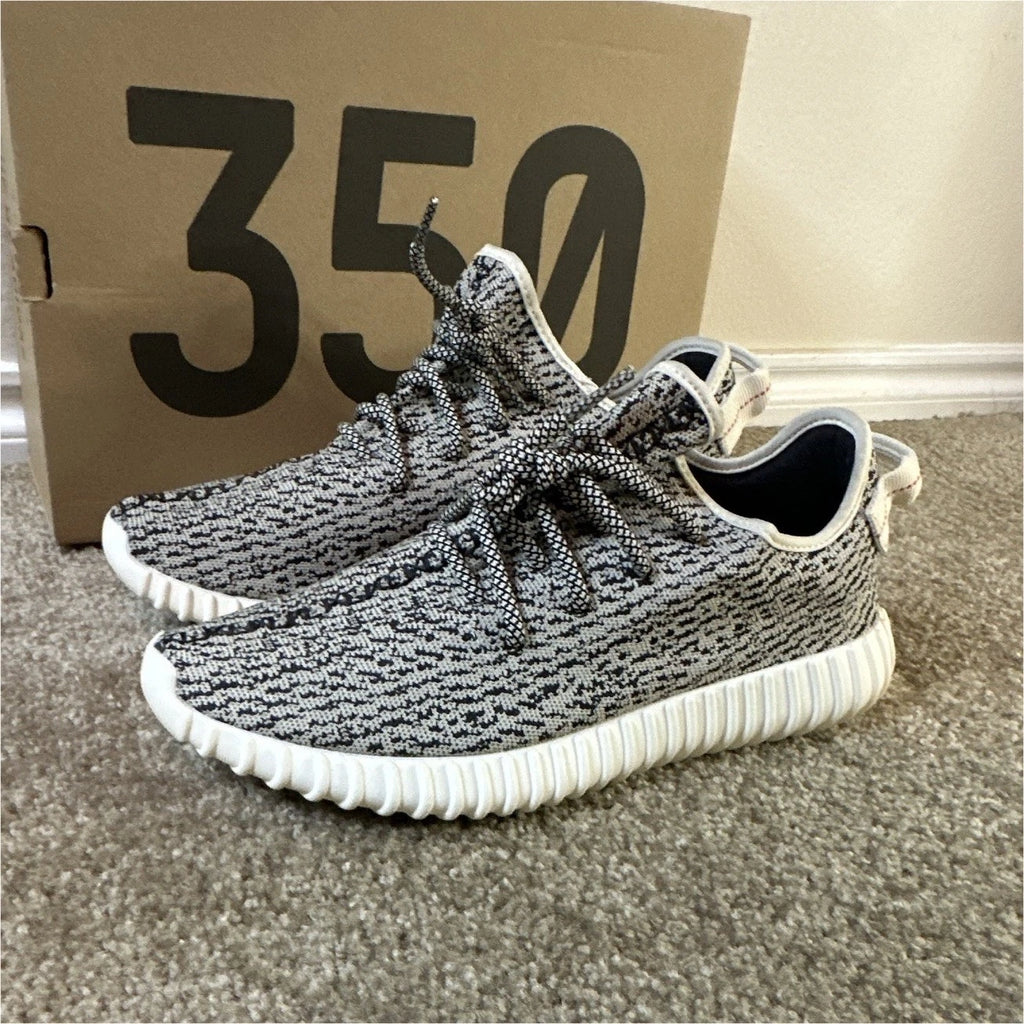 adidas Yeezy Boost 350 Turtle Dove AQ4832 NEW Men's Size 10.5 Authentic